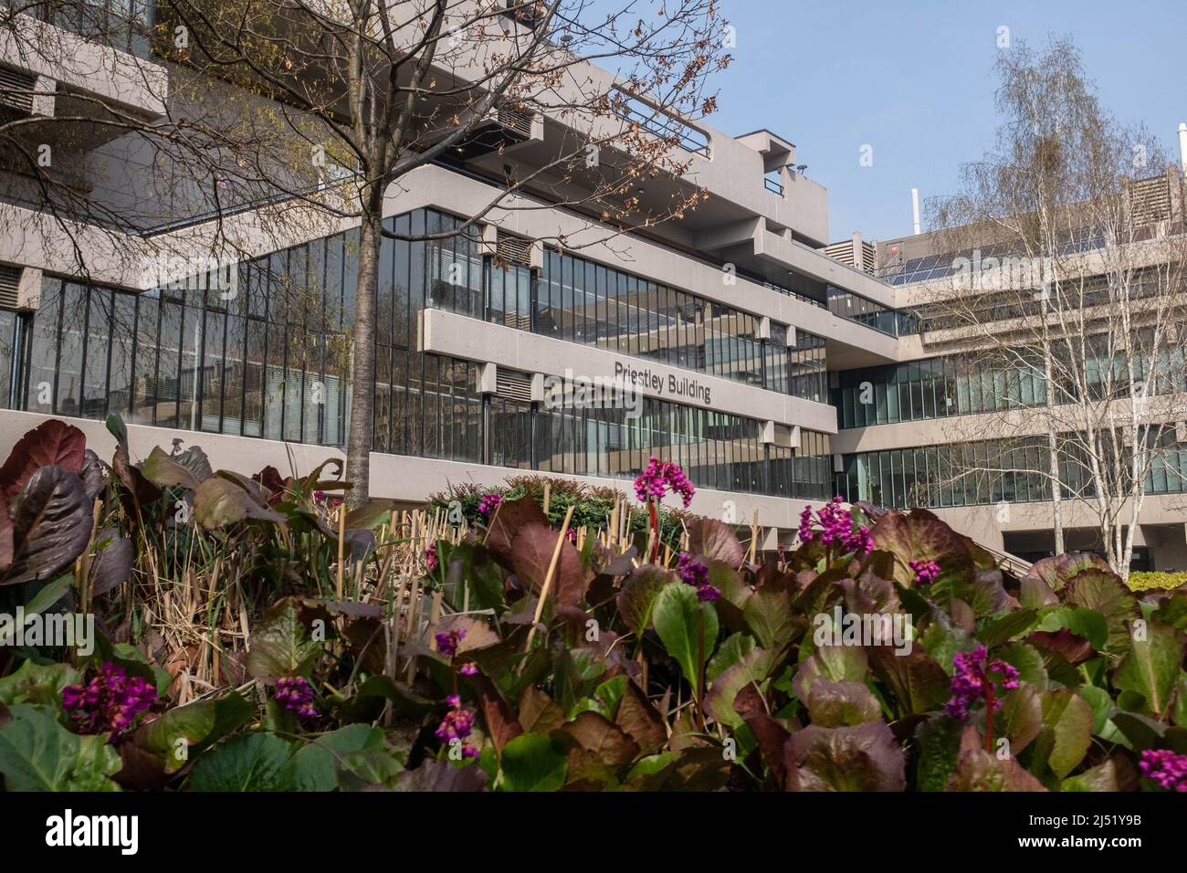 Centre-ville de Leeds, Royaume-Uni Banque D'Images