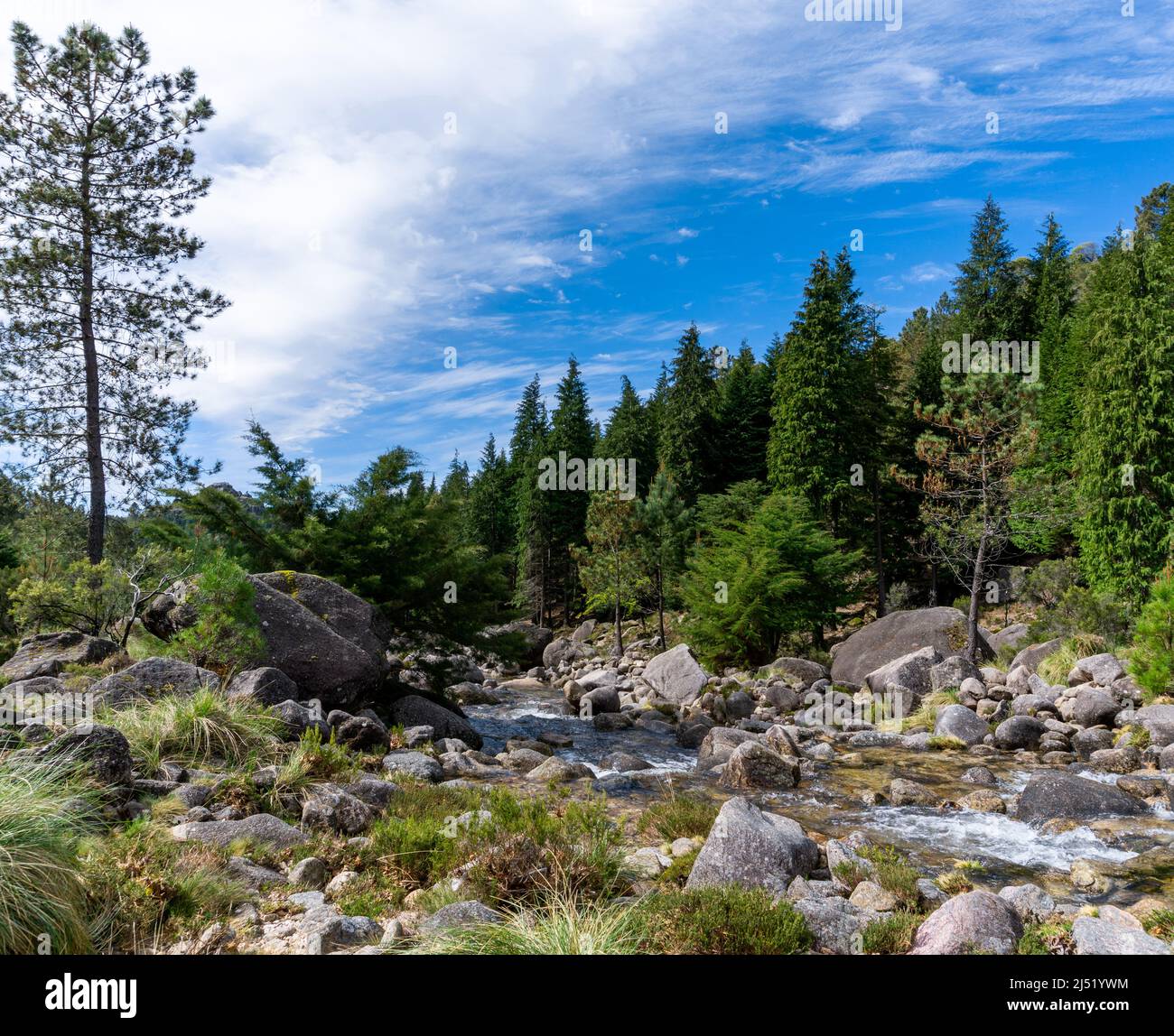 Vue sur la rivière Arado et la forêt dans le parc national de Peneda-Geres au Portugal Banque D'Images