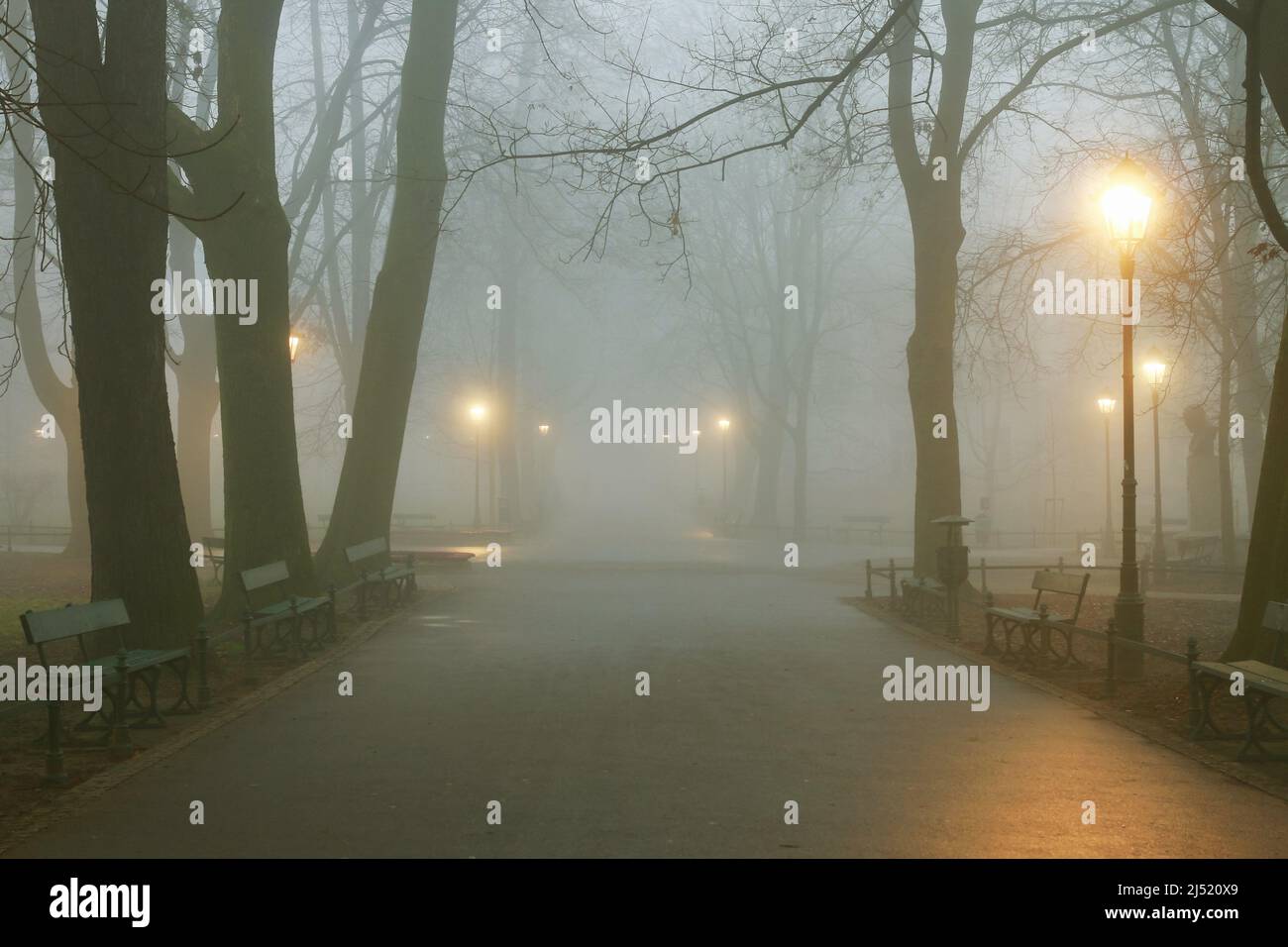 Une soirée brumeuse au parc Planty de Cracovie, en Pologne. Banque D'Images