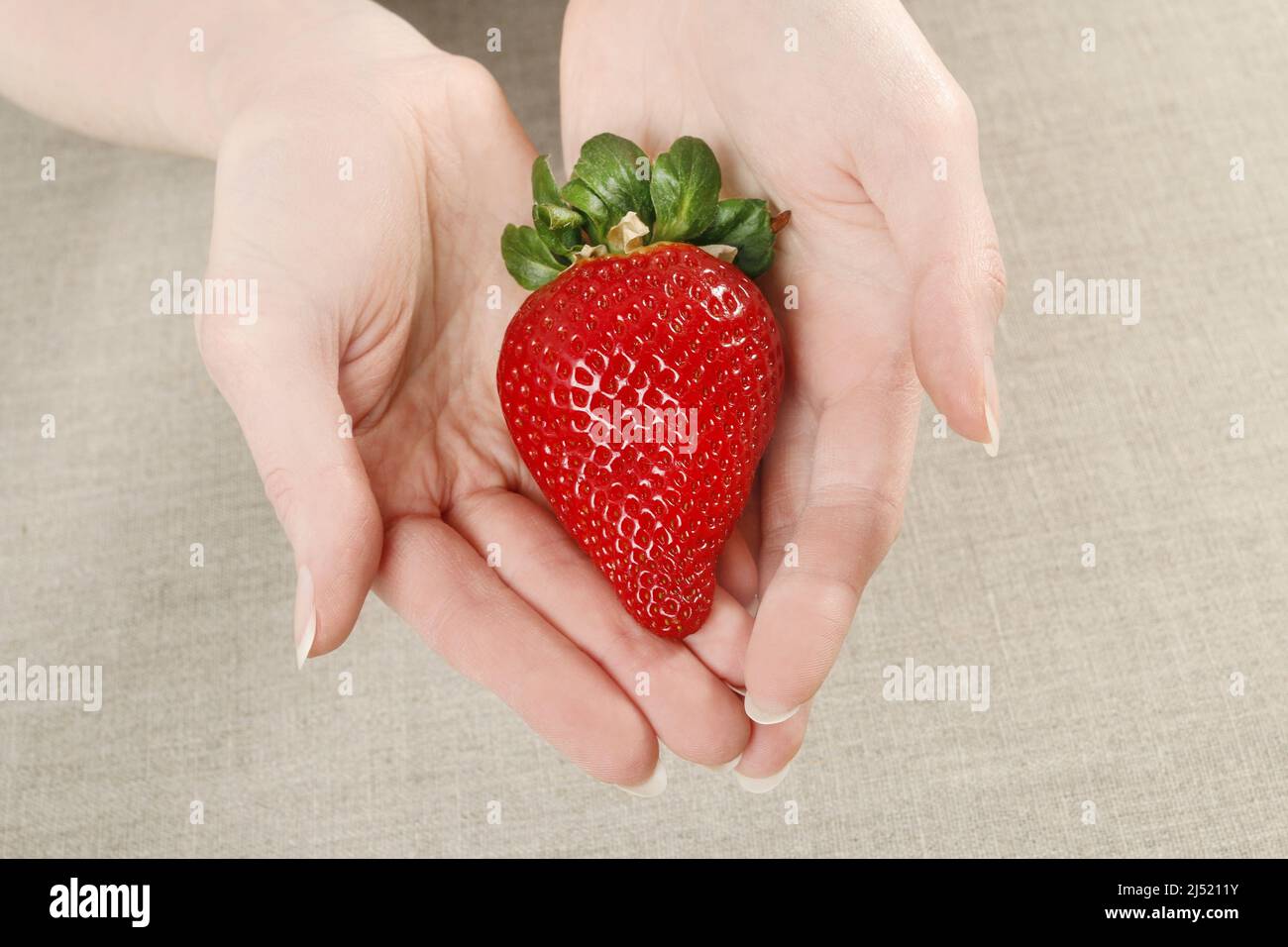 Femme tenant une grosse fraise rouge. Une alimentation saine Banque D'Images