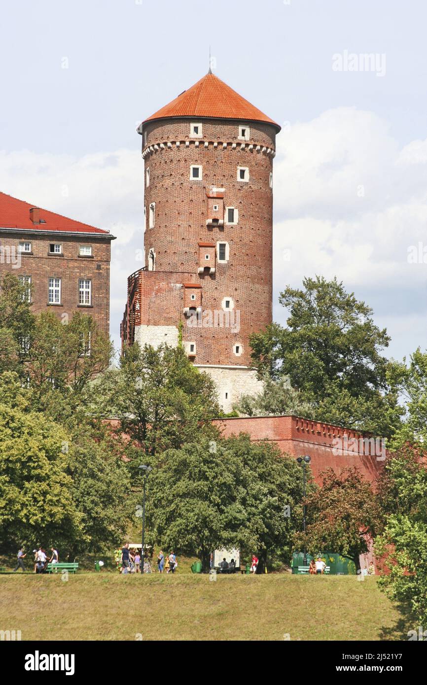 La caste Wawel - un complexe architectural fortifié érigé au cours de plusieurs siècles au sommet d'un affleurement calcaire sur la rive de la Vistule. Banque D'Images