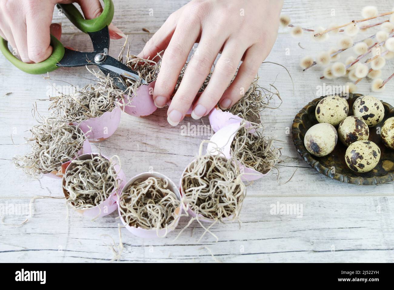 Comment faire la décoration de table de Pâques avec des coquilles d'oeuf, de la mousse espagnole et des chatons. Étape par étape, tutoriel. Banque D'Images