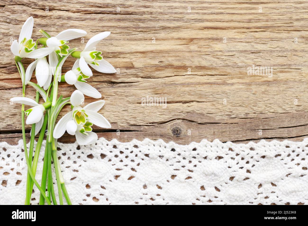 Bouquet de fleurs de neige (Galanthus nivalis) sur fond de bois, espace copie. Banque D'Images