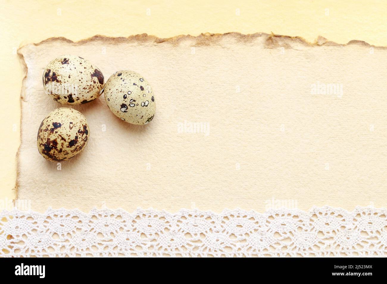 Caille les œufs sur fond de papier, espace de copie. Banque D'Images