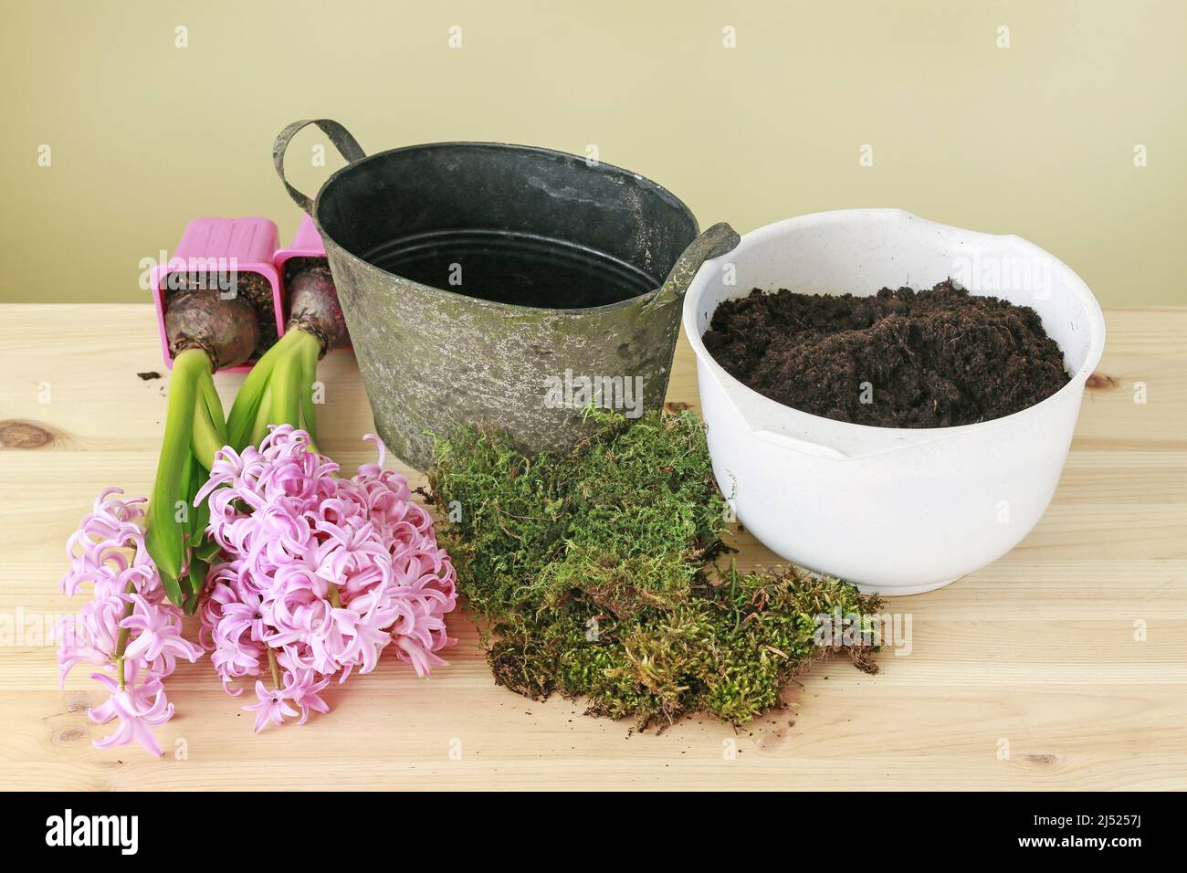 Fleuriste au travail: Comment faire la décoration de table de Pâques avec des fleurs de jacinthe roses. Étape par étape, tutoriel. Banque D'Images