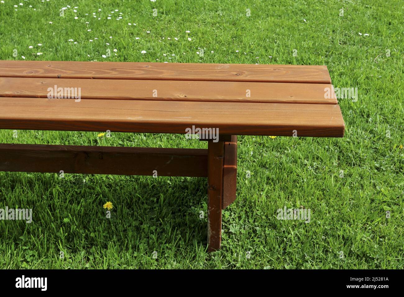 Banc en bois dans le jardin. Ressources graphiques Banque D'Images