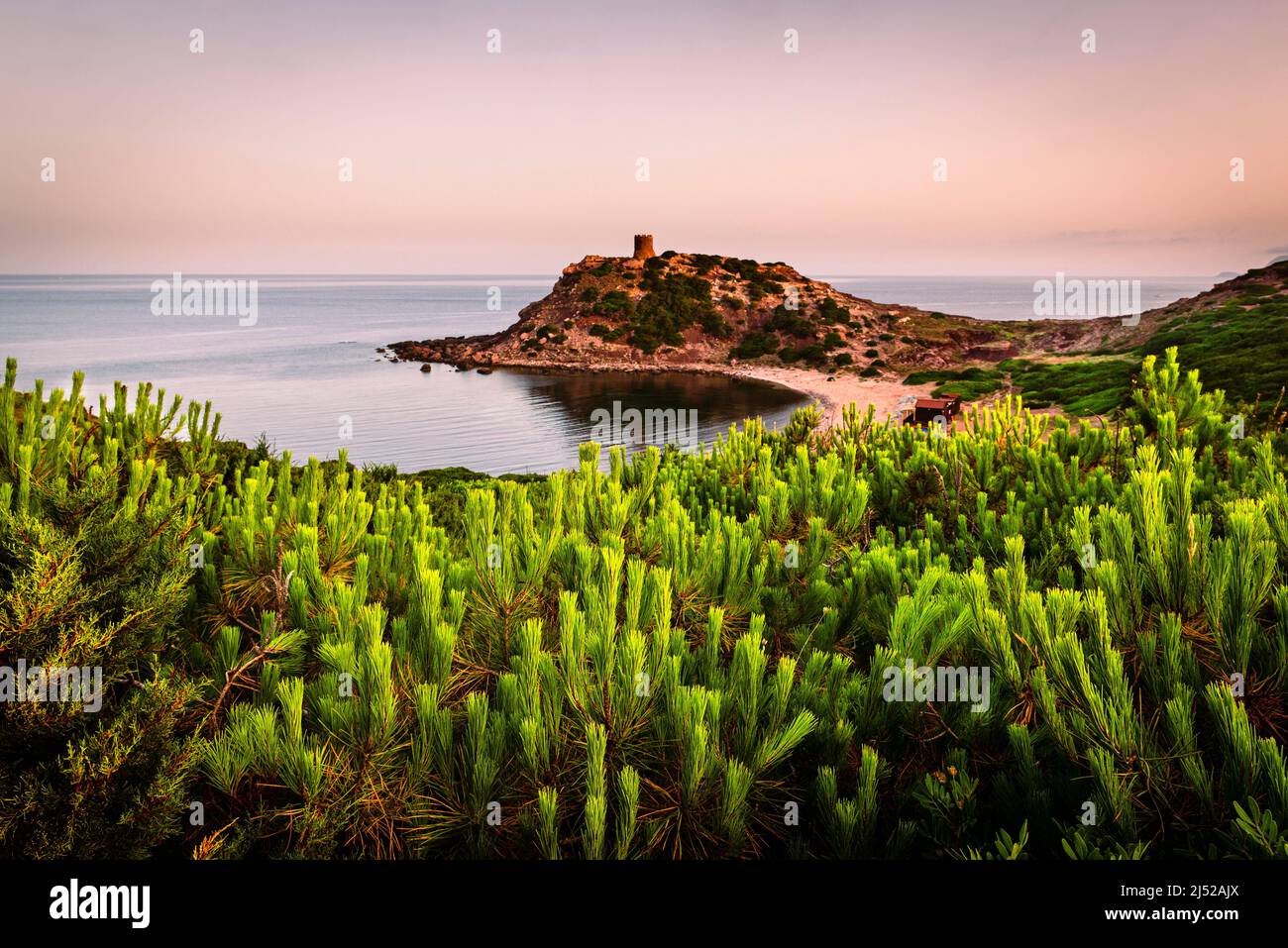 Kiefern vor dem Panorama mit dem Wachtturm und Strand der Bucht Torre del Porticciolo an der Westküste von Sardinien BEI Sonnenaufgang, Italien Banque D'Images