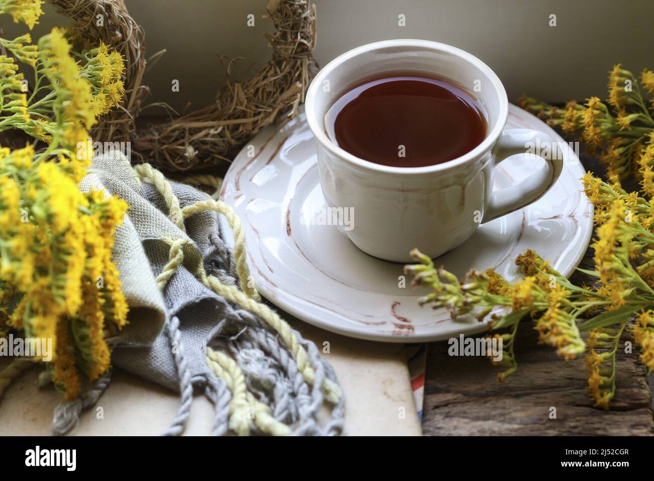 Une tasse de thé parmi les plantes d'automne. Détendez-vous Banque D'Images