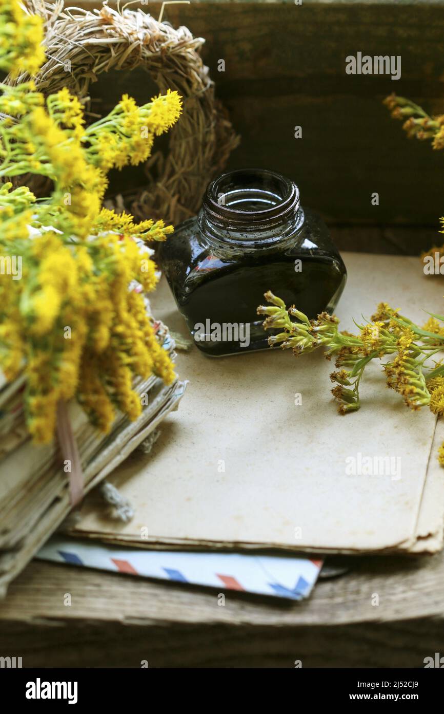 Feuille de papier vierge et plantes d'automne autour de lui. Style rétro Banque D'Images