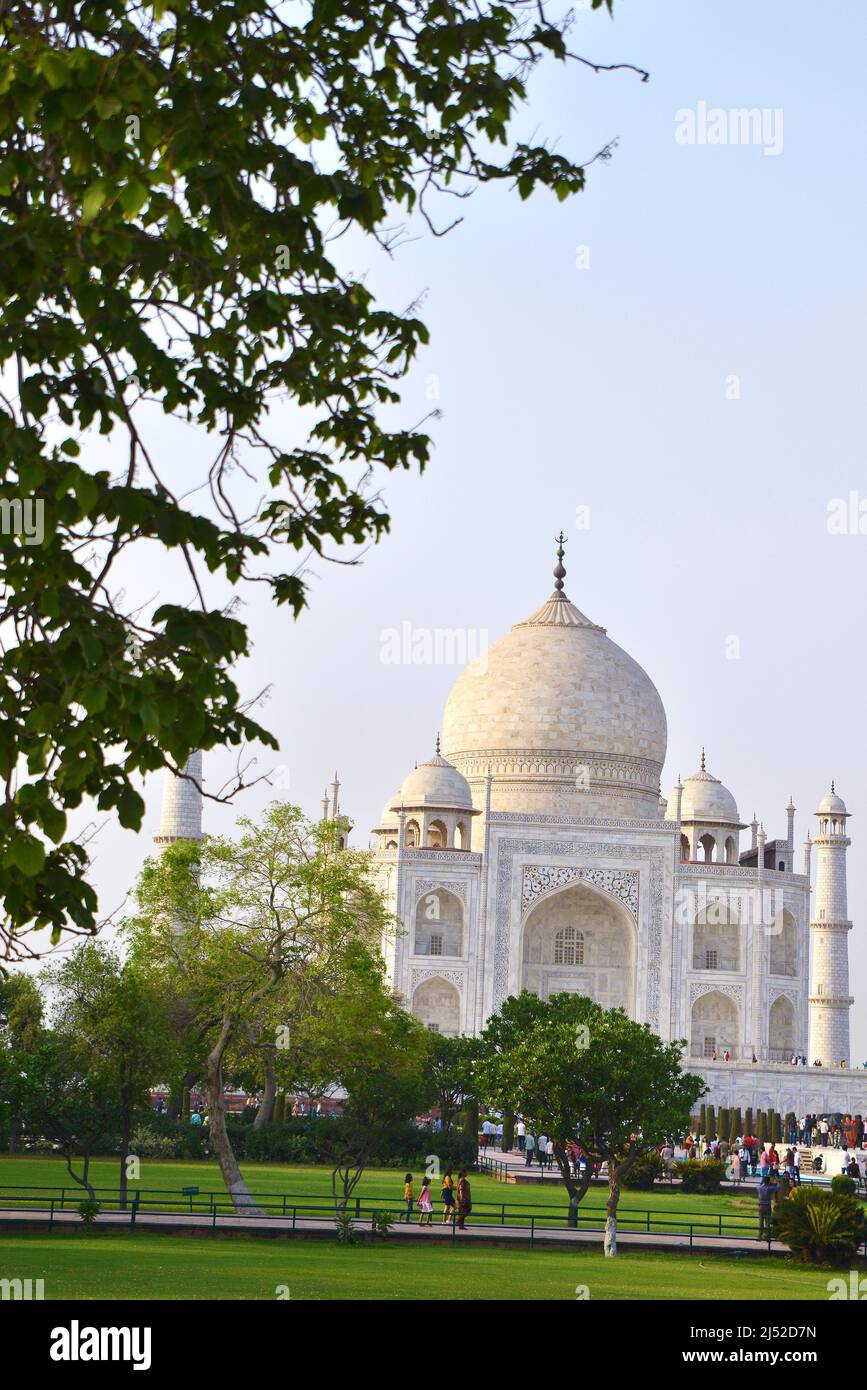 Taj Mahal est un site classé au patrimoine mondial de l'UNESCO à Agra, Uttar Pradesh, Inde Banque D'Images