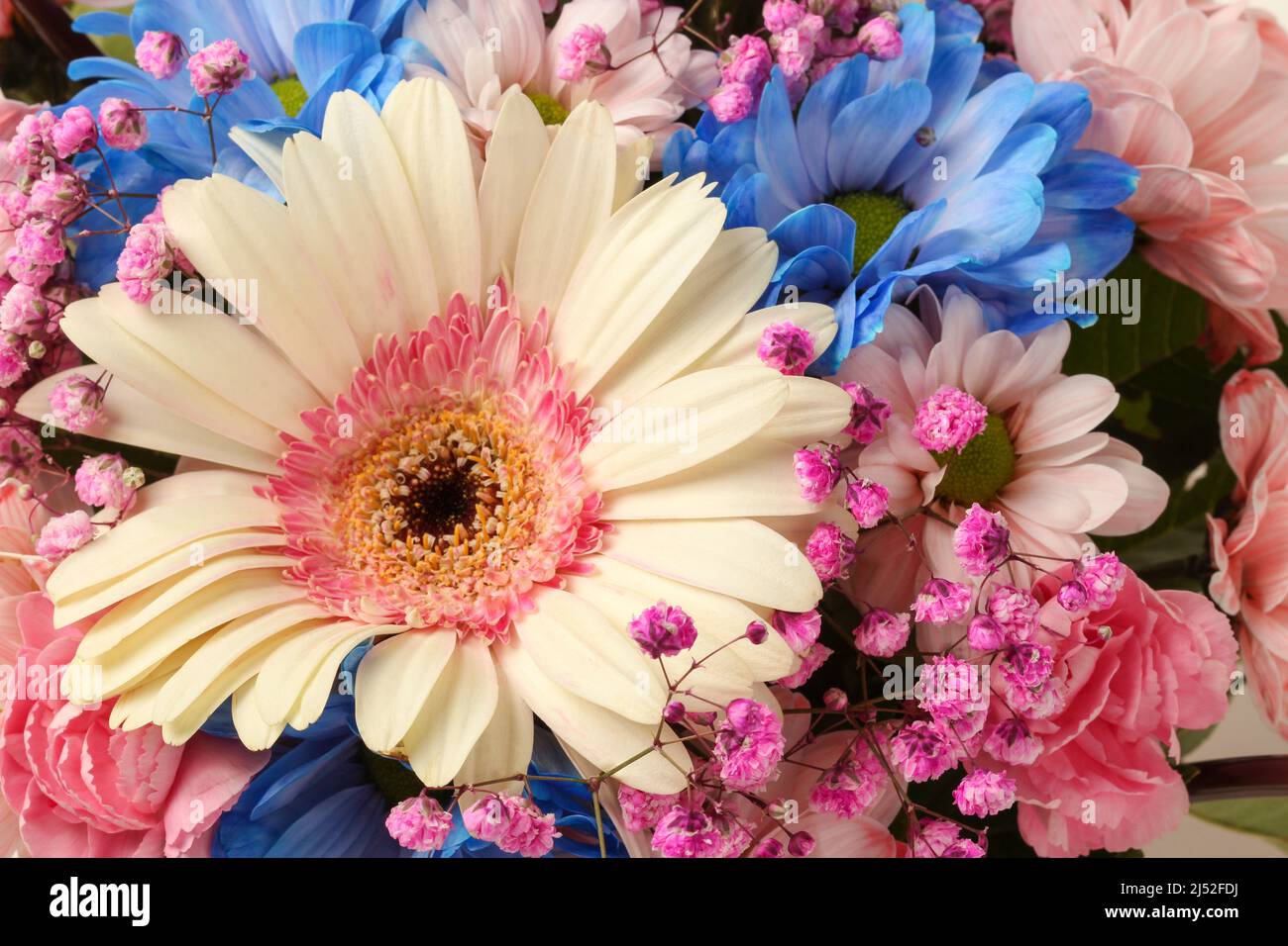 Bouquet de fleurs colorées en gros plan. Vue de dessus Banque D'Images