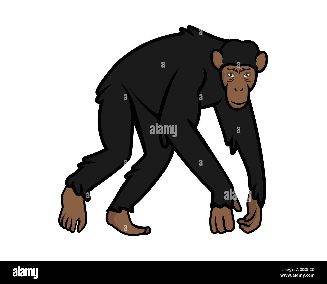 Chimpanzé avec vecteur d'illustration de mouvement de marche Illustration de Vecteur