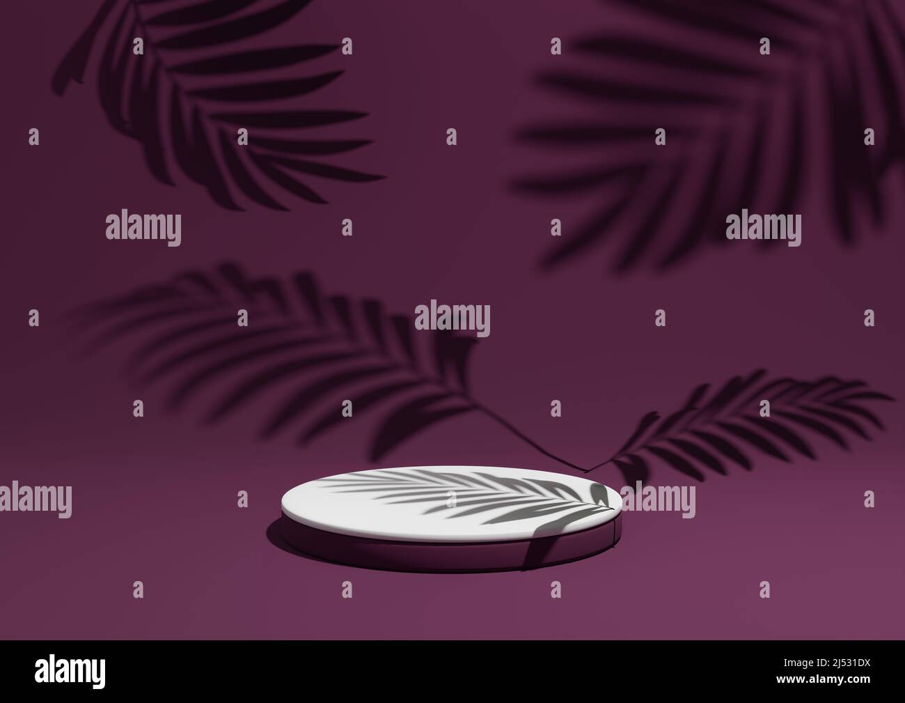 Rendu magenta foncé, violet, 3D d'un simple et minime fond de composition d'affichage de produit avec le podium ou le stand et les ombres à feuilles en arrière-plan Banque D'Images