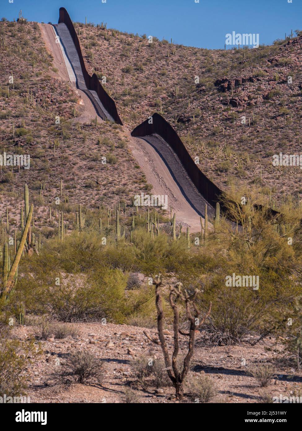 « The Wall », South Puerto Blanco Drive, Organ Pipe Cactus National Monument, Arizona. Banque D'Images