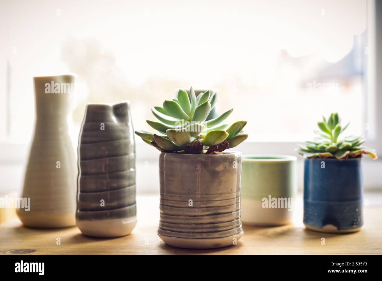 Pot plantes et vase décoratif sur la tablette intérieure maison Banque D'Images