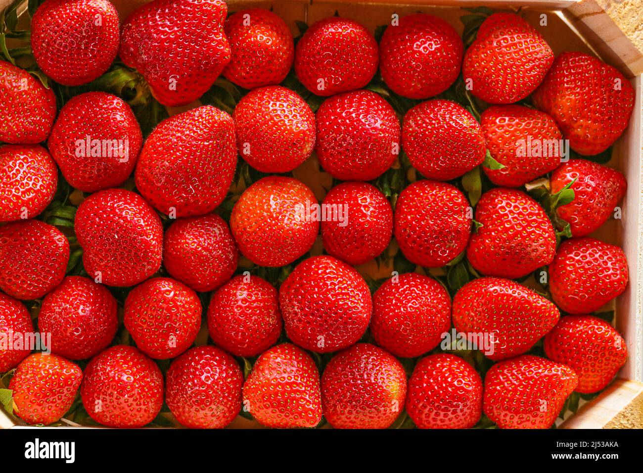 Boîte aux fraises.fraises rouges . Récolte de fraises. Fraises rouges dans une boîte en bois .baies d'été Banque D'Images