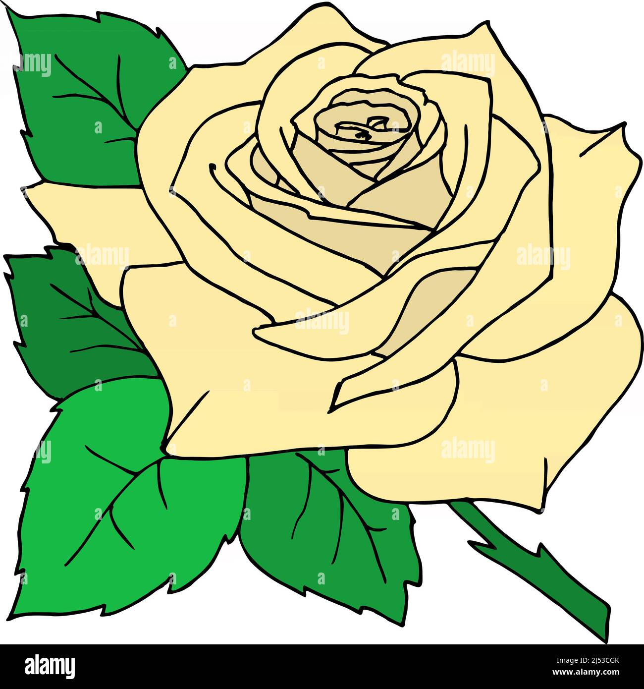 dessin de couleur de la fleur de rose de thé avec des feuilles, élément graphique, design, Banque D'Images
