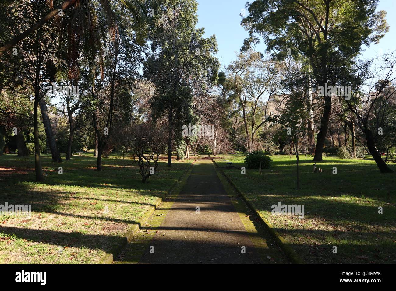 Naples - Vialetto del Real Orto Botanico Banque D'Images