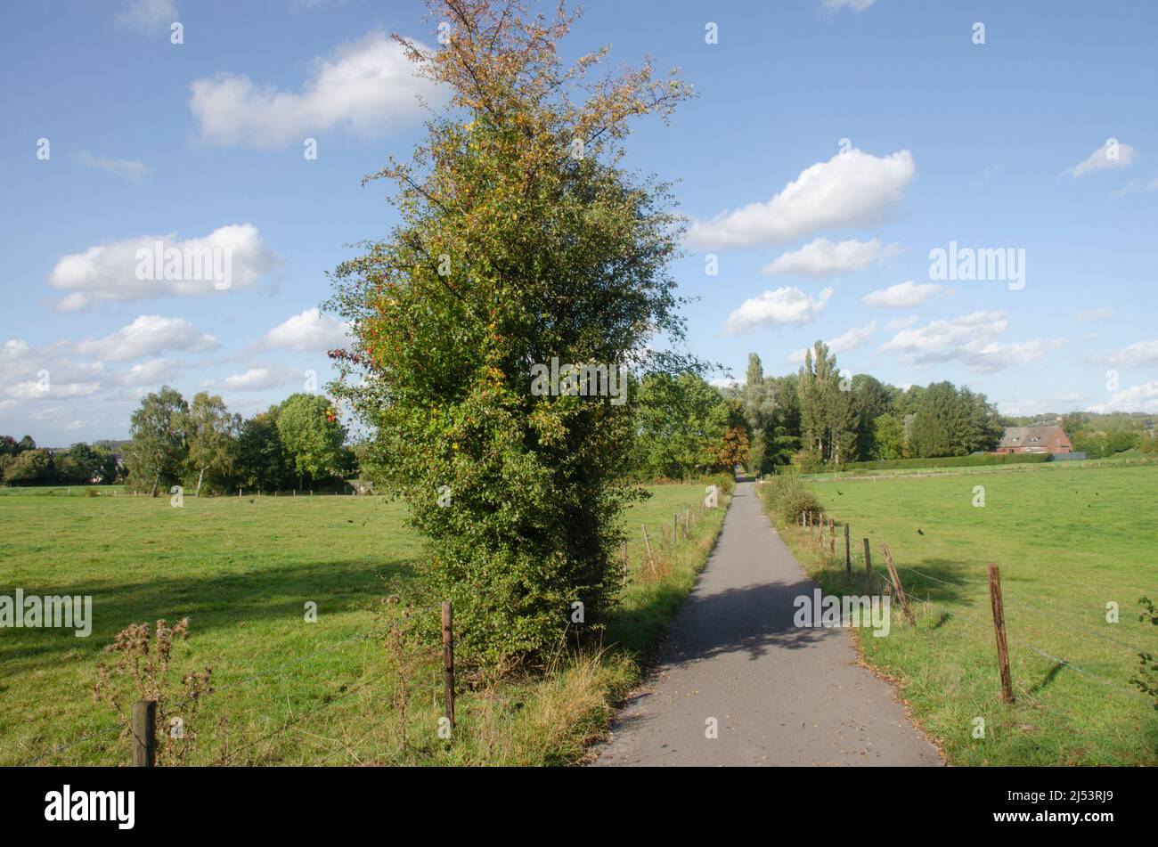 Aachen Eilendorf: Landschaft Banque D'Images