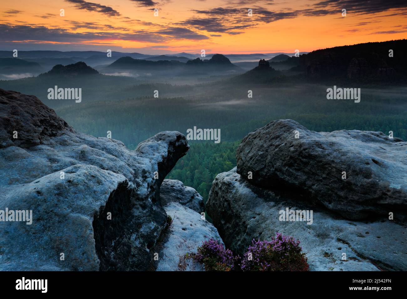 Kleiner Winterberg, belle vue du matin sur la falaise de grès dans la vallée profonde de la brume en Saxe Suisse. Les pics de grès ont augmenté à partir du bac brumeux Banque D'Images