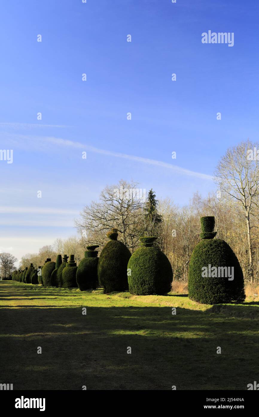 L'avenue Yew Tree au village de Clipsham; Rutland; Angleterre; Royaume-Uni Banque D'Images