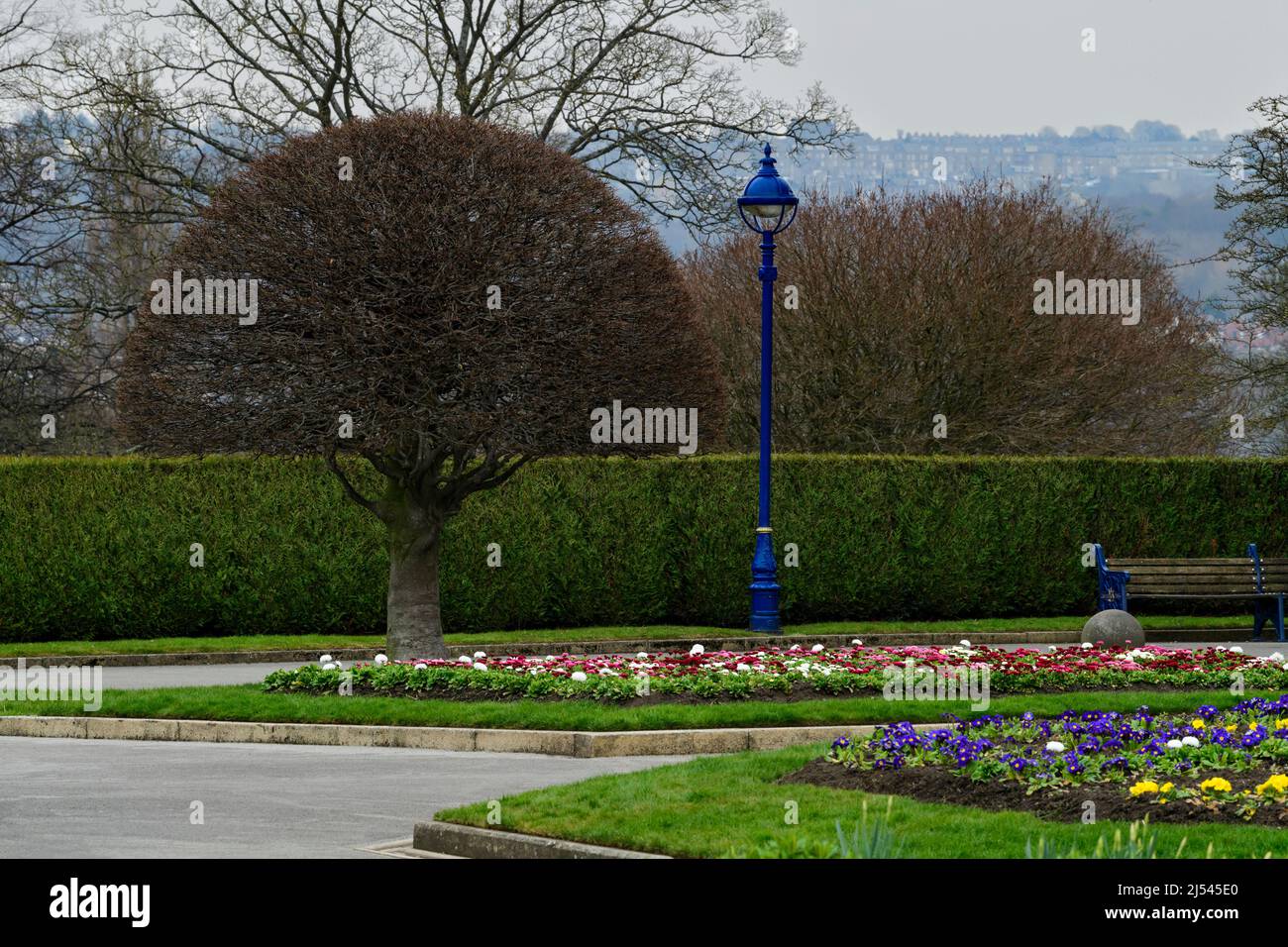 Aménagement municipal urbain pittoresque (literie de fleurs lumineuses sur des frontières bien définies, sentiers, banquette) - Lister Park, Bradford, Angleterre, Royaume-Uni. Banque D'Images