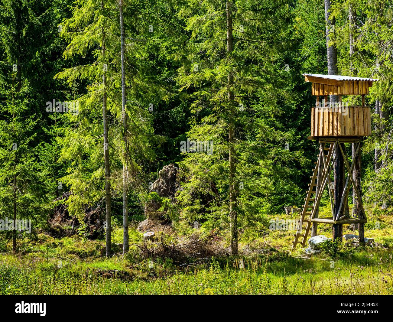 hunter's Hed cache dans la forêt, Autriche Banque D'Images