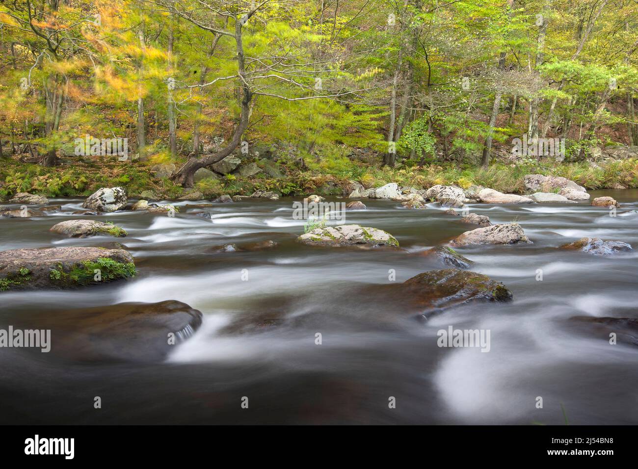 Paysage à la rivière Ambleve, Belgique, Ardennes, Ambleve Banque D'Images