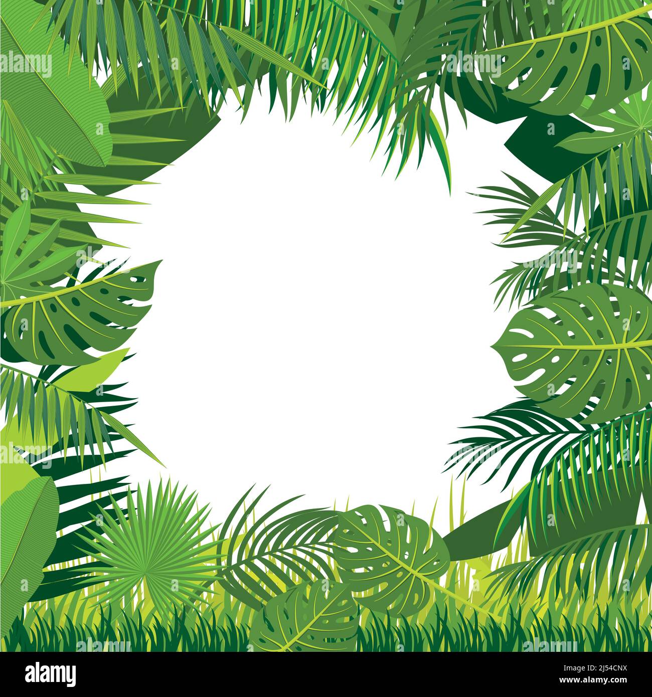 Cadre de feuilles tropicales. Modèle de rectangle de feuillage exotique Illustration de Vecteur