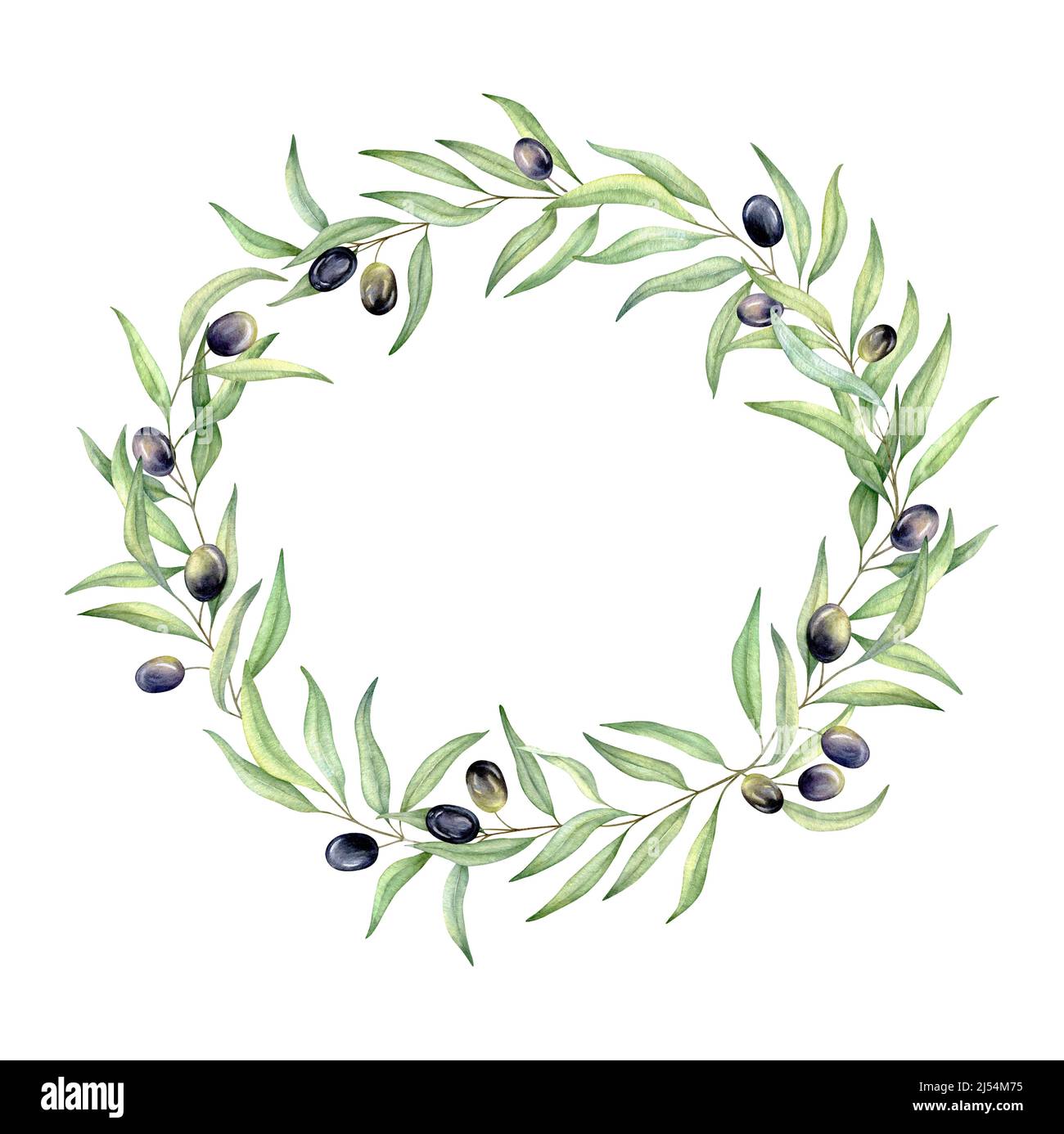 Couronne vert olive aquarelle, invitation de mariage, logo Banque D'Images