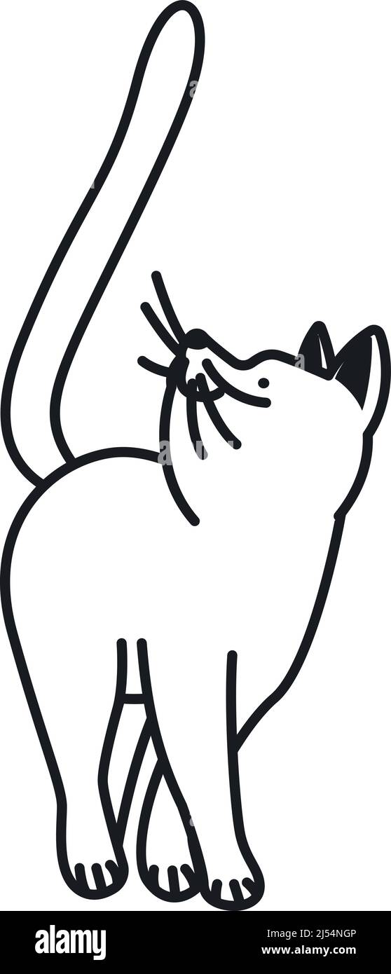 Icône Cat. Symbole drôle de ligne noire d'animal de compagnie Illustration de Vecteur