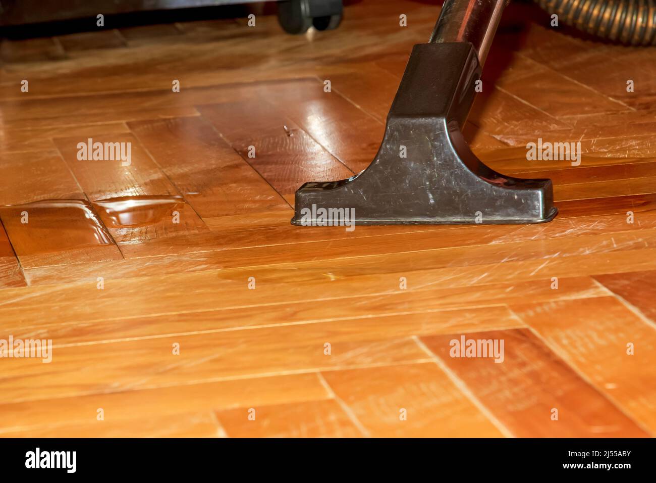 Un aspirateur sur parquet recueille l'eau qui s'est répandue. Et un aspirateur en gros plan. Nettoyage à l'eau du parquet avec un aspirateur moderne Banque D'Images