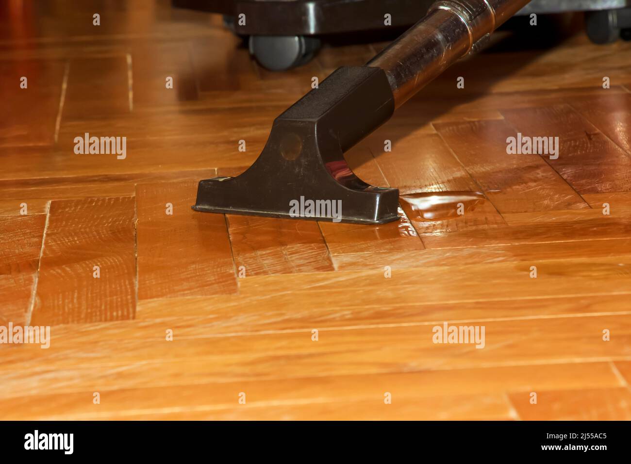 Un aspirateur sur parquet recueille l'eau qui s'est répandue. Et un aspirateur en gros plan. Nettoyage à l'eau du parquet avec un aspirateur moderne Banque D'Images
