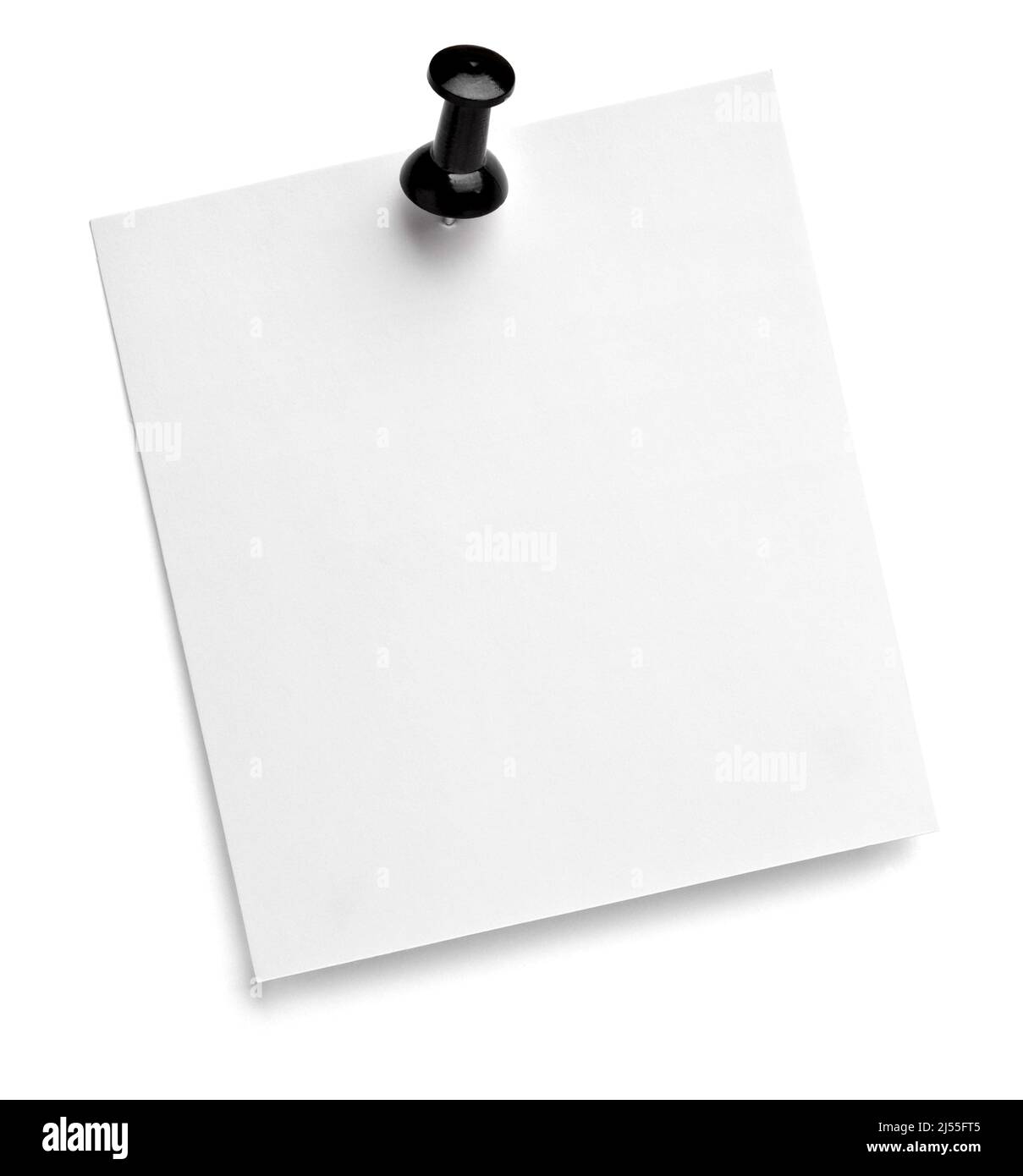 notez le message « punaise » sur papier rouge blanc noir Banque D'Images