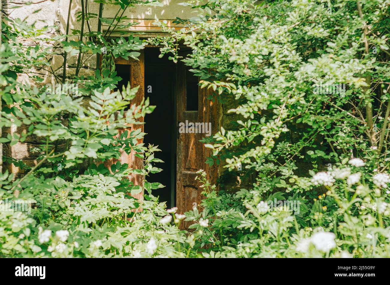 Partie de la vieille maison dans les épaissis. Porte en bois. Design vintage. Banque D'Images