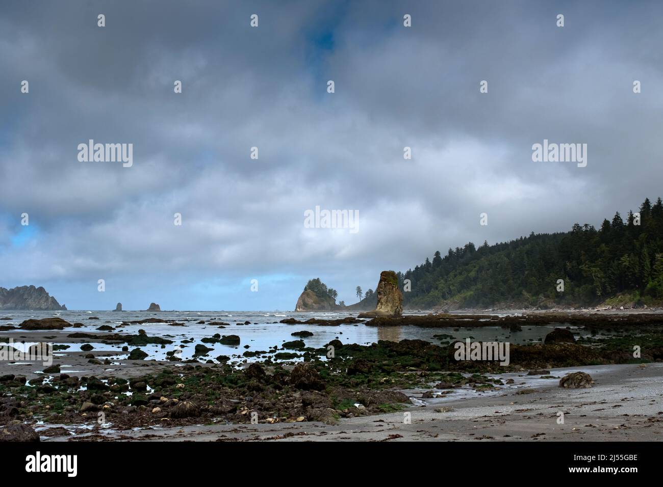 WA21401-00...WASHINGTON - Plage sauvage au nord de Cape Johnson dans le parc national olympique. Banque D'Images