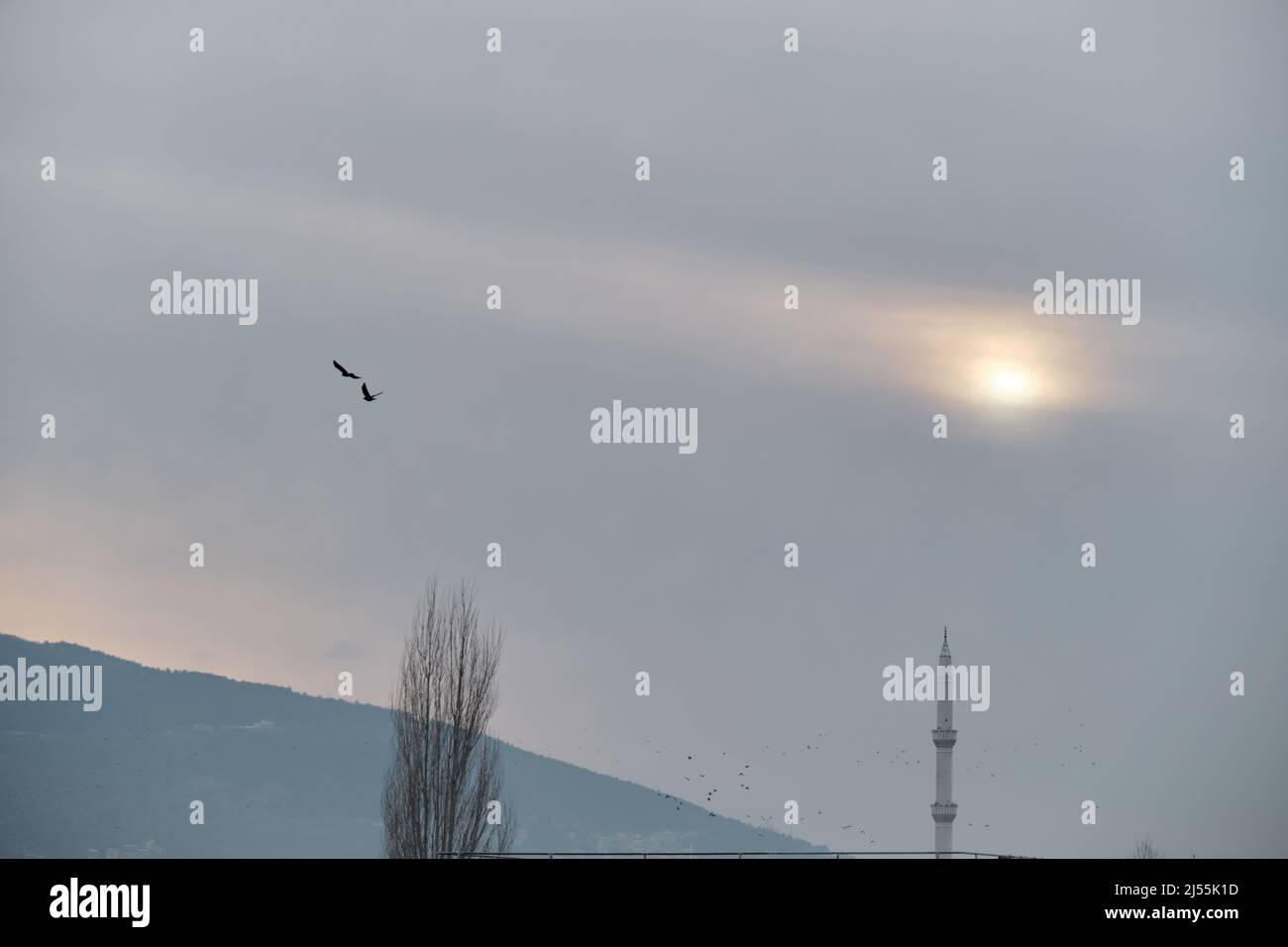 Voler librement des oiseaux au ciel avec le soleil derrière les nuages. Banque D'Images