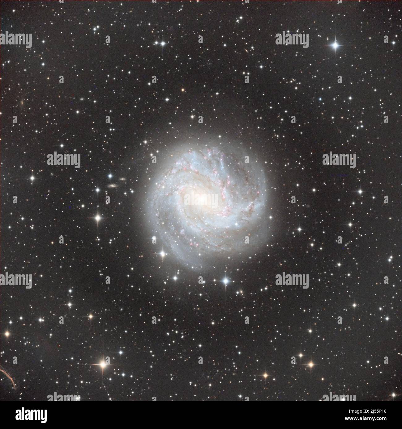 Messier 83 ou M83, également connu sous le nom de Southern Pinwheel Galaxy et NGC 5236, est une galaxie spirale barrée Banque D'Images