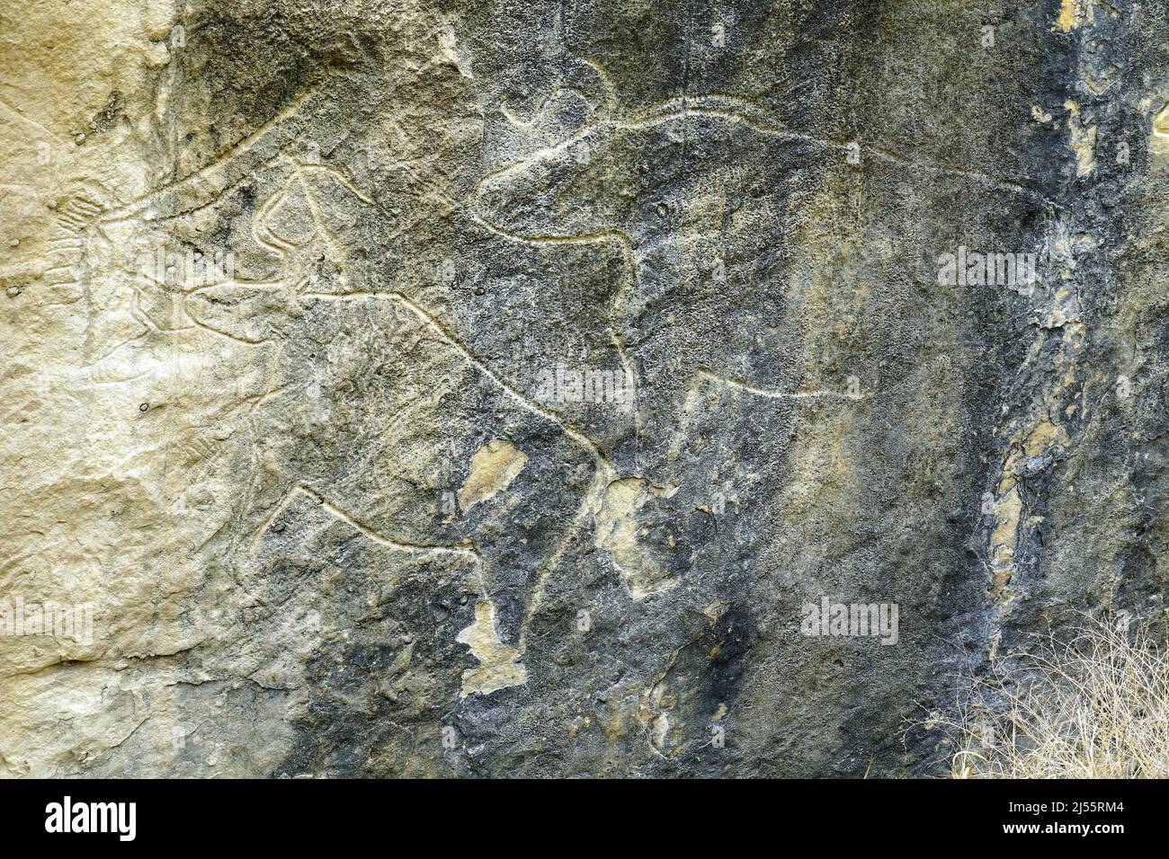 Pétroglyphes sur roche, Gobustan Rock Art, Réserve historique et culturelle de l'État du Gobustan, Azerbaïdjan, Azərbaycan, Asie, site du patrimoine mondial de l'UNESCO Banque D'Images