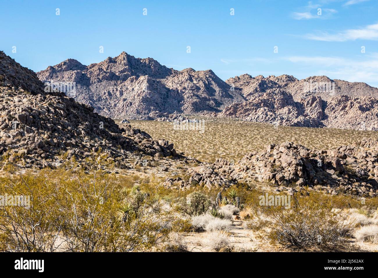 Indian Cove, parc national de Joshua Tree, Californie, États-Unis. Banque D'Images