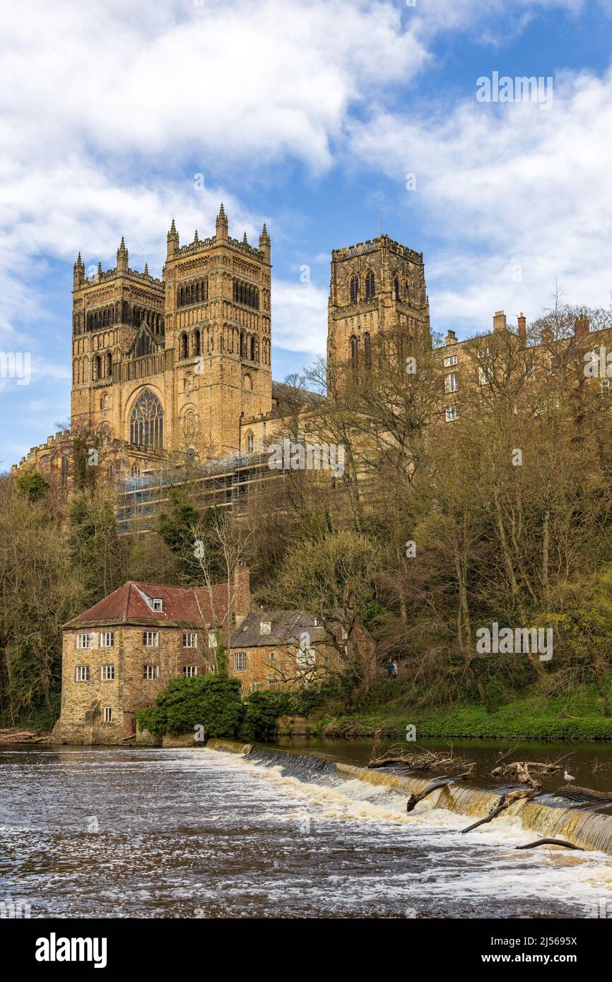 La magnifique cathédrale de Durham et le vieux moulin à Fulling, vue sur la rivière Wear dans la ville de Durham. Banque D'Images