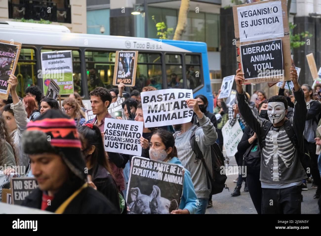 Buenos Aires, Argentine; 1 novembre 2021: Journée mondiale des Vega. Les gens défilent en portant des signes avec des messages animalistes : cessez de tuer des animaux. Lébre animal total Banque D'Images