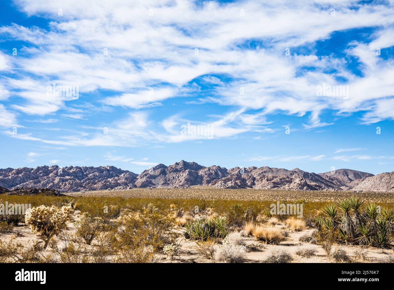 Indian Cove, parc national de Joshua Tree, Californie, États-Unis. Banque D'Images