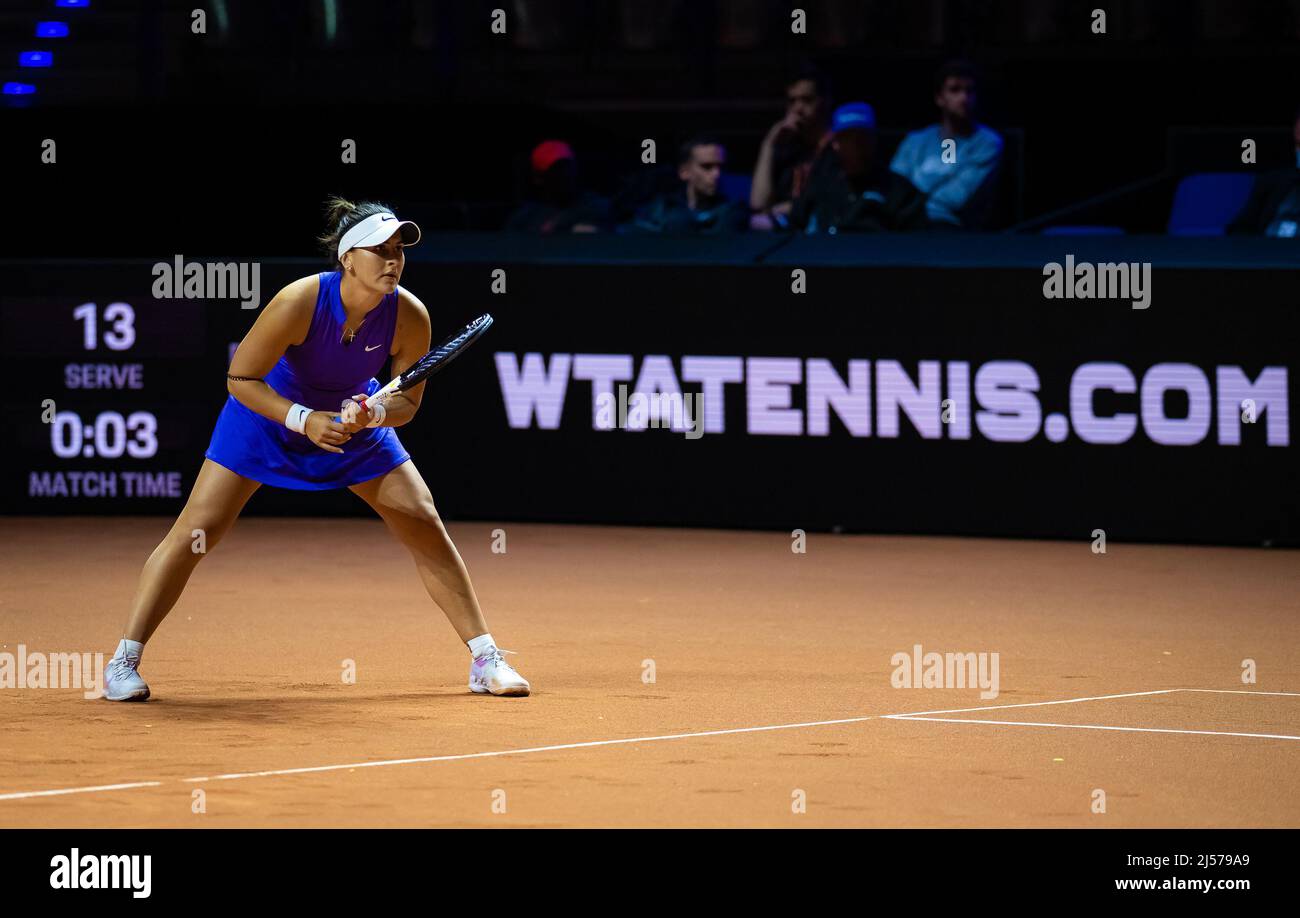 Bianca Andreescu, du Canada, en action contre Jule Niemeier, d'Allemagne, lors de la première manche du Grand Prix de tennis Porsche WTA 500 2022, le 19 avril 2022 à l'aréna Porsche de Stuttgart, Allemagne - photo : Rob Prange/DPPI/LiveMedia Banque D'Images