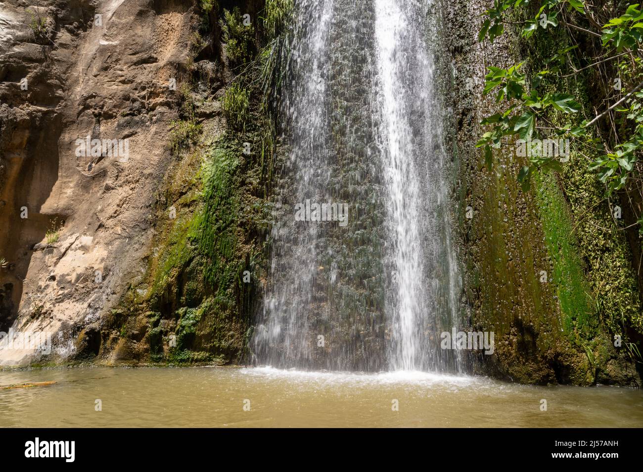 Cascade dans le Golan Banque D'Images