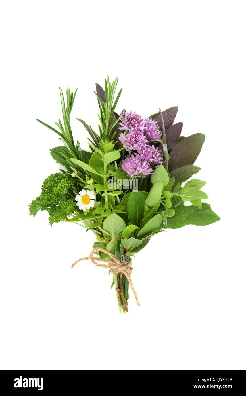 Herbes liées dans un bouquet pour l'assaisonnement alimentaire, ingrédients frais organiques également utilisés dans la médecine de plantes pour traiter diverses maladies. Sur fond blanc Banque D'Images