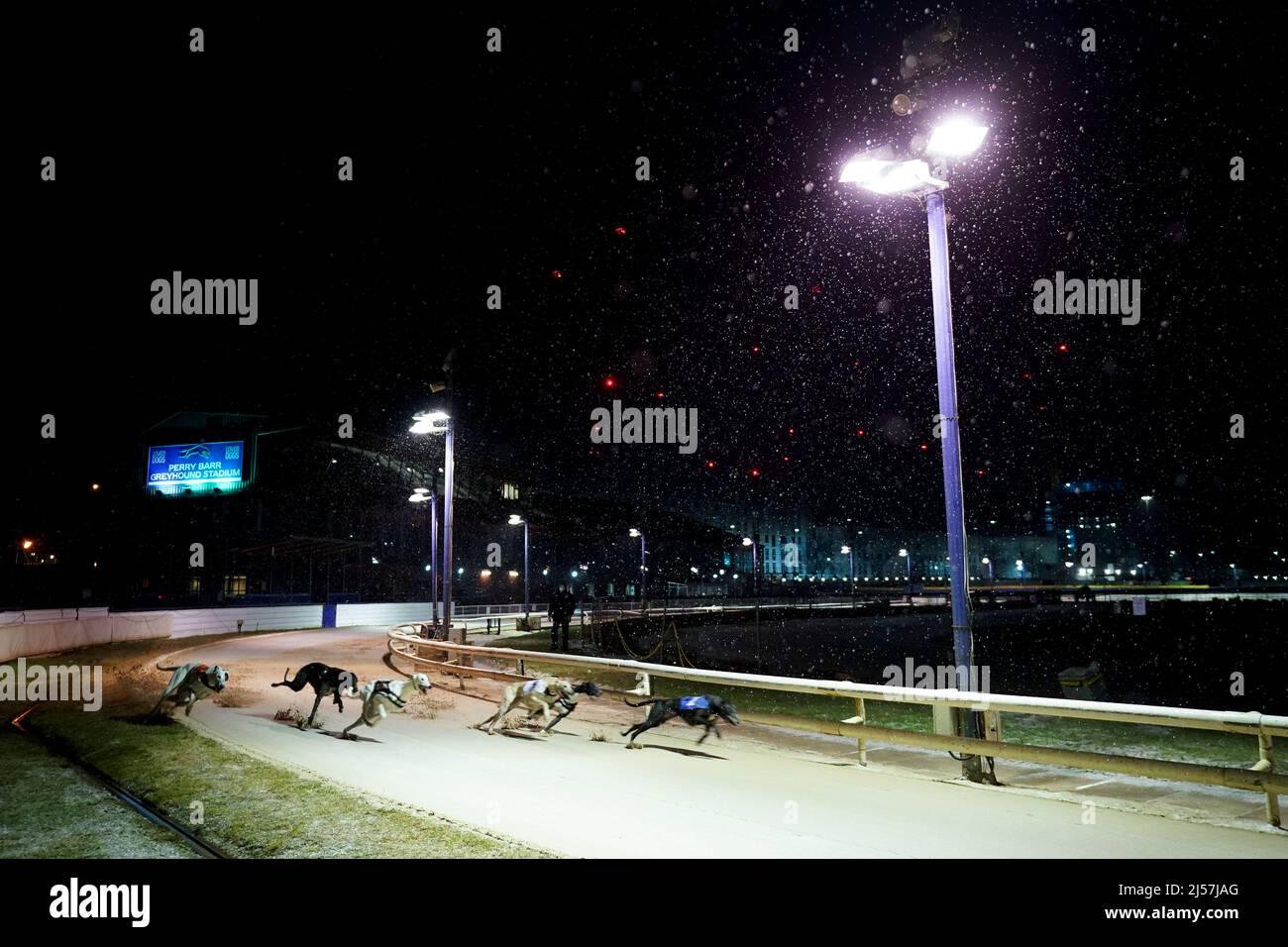 Photo de dossier datée du 07/01/21 d'une vue générale de la course qui se déroule au stade de lévriers Perry Barr, comme la course de lévriers en Écosse est « au-delà de la réforme » car certains chiens sont drogués avec des substances illégales telles que la cocaïne, ont été informés les MSP. Banque D'Images