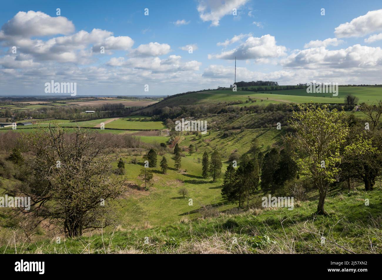 Cottington's Hill vu de Watership Down, Kingsclere, Hampshire, Angleterre, Royaume-Uni, Europe Banque D'Images