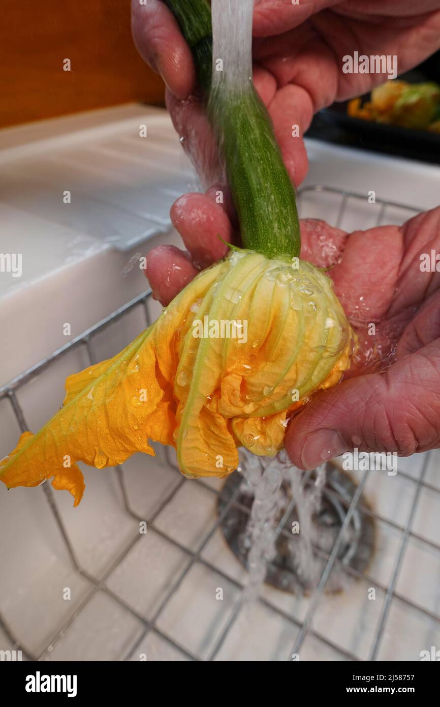 Cuisine du sud de l'Allemagne, préparation de fleurs de courgettes farcies, lavage de fleurs de courgettes, jet d'eau, eau courante, évier, cuisine végétarienne et saine Banque D'Images