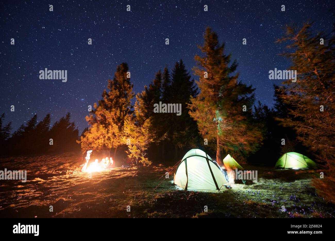 Silhouettes groupe de voyageurs passer du temps ensemble par feu de camp en soirée sous ciel étoilé. À droite des touristes trois tentes lumineuses lumineuses. Camping de bons amis dans les montagnes la nuit. Banque D'Images